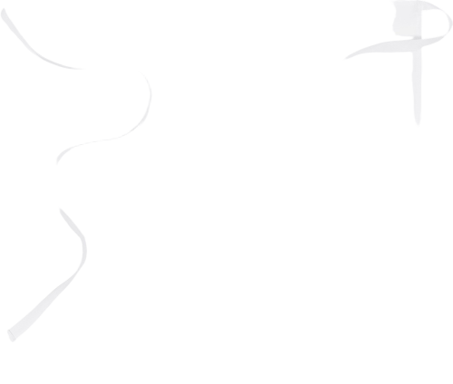 ELINTARVIKE ESILIINA 705 P92